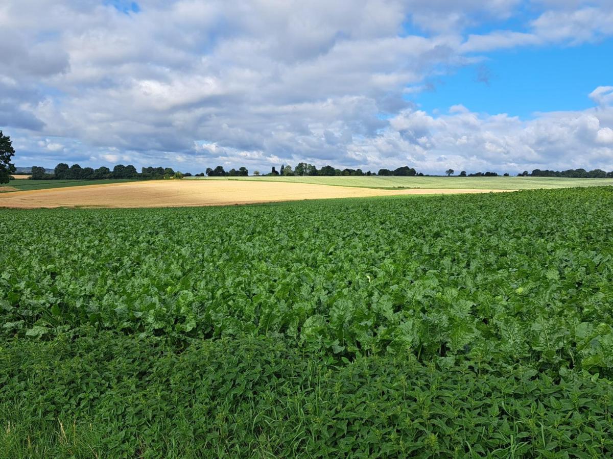 Steef'S Vakantiehuis Zuid Limburg Simpelveld Dış mekan fotoğraf