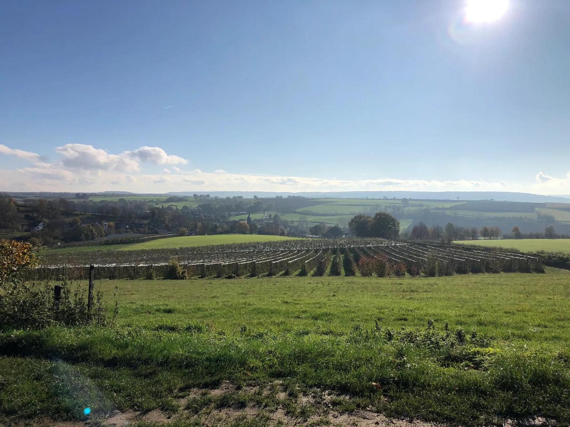 Steef'S Vakantiehuis Zuid Limburg Simpelveld Dış mekan fotoğraf